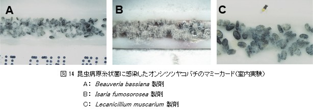 微生物的防除のはなし