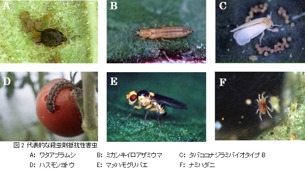 微生物的防除のはなし