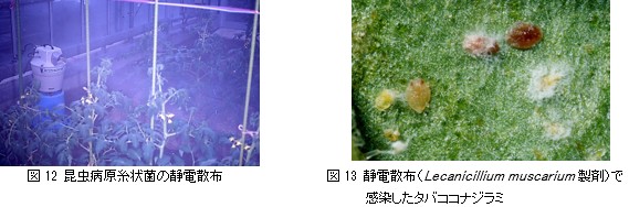 微生物的防除のはなし