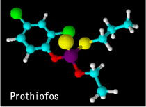  トクチオンの開発秘話　-世界の常識を破ったそれまでの有機リン剤とは異なる殺虫剤-