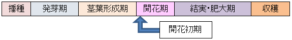 図1. エダマメの生育状況とハーモザイムの散布適期