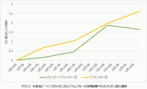 半促成栽培における 「リモニカ」 の使い方