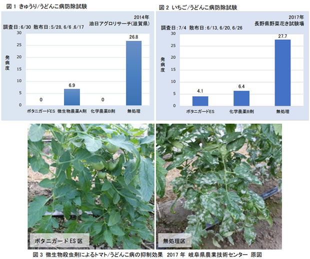 ボタニガードＥＳによるうどんこ病抑制およびシソサビダニ防除効果について