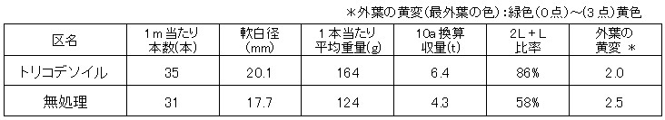 (3) ねぎでの使用例