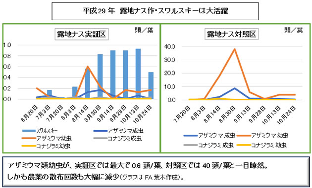 天敵利用・成功体験を重ねましょう！！ 露地ナス部会での取り組み事例から