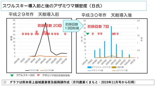 天敵利用・成功体験を重ねましょう！！ 露地ナス部会での取り組み事例から