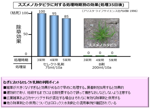 ねぎ で使用できるアリスタ製品のご紹介