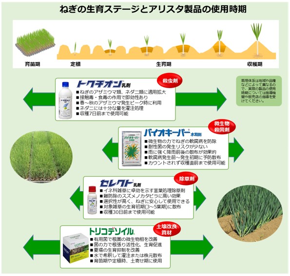 ねぎ で使用できるアリスタ製品のご紹介