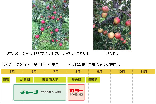 「タフプラント」 シリーズ