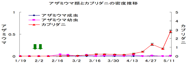 アザミウマ類とカブリダニの密度推移