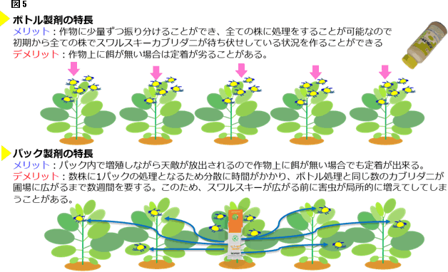 「スワルスキー」 と　「スワルスキープラスUM」 の使い分け