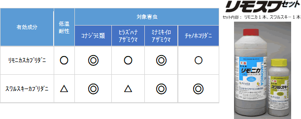 リモスワセットの利用について