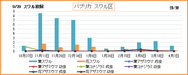 スワル放飼