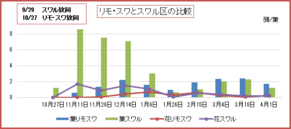 リモ・スワ区とスワル区の密度推移　～1月下旬からリモ・スワ区が逆転～