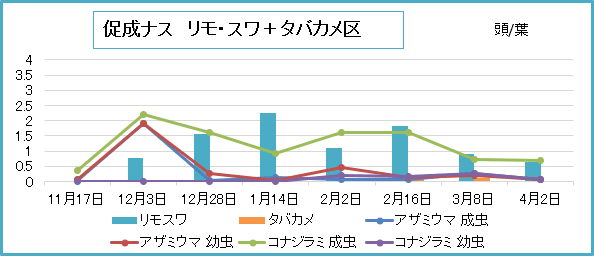 リモ・スワ区の推移～安定的に増加～