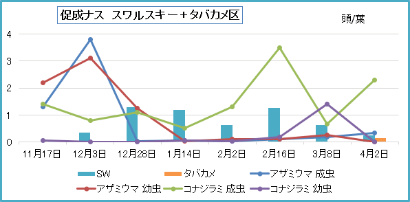 スワル区の推移　