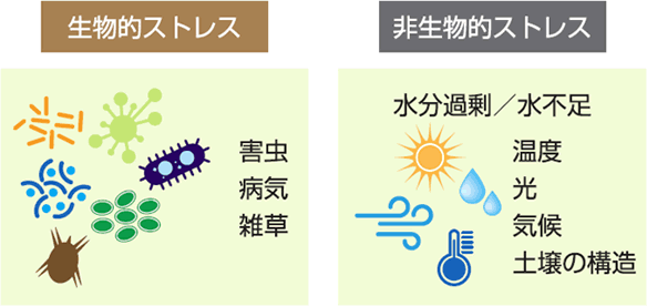 図.　対策する対象の違い