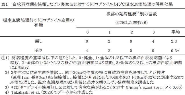 「トリコデソイル」 を併用したビワ白紋羽病の温水治療技術