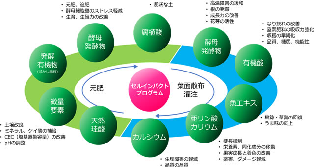 最新の発酵技術肥料製品群「セルインパクト ストロングシリーズ」の販売開始について