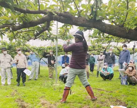 神奈川県 「梨園/天敵資材を利用した難防除ハダニ対策」 ~普及活動を通じて~