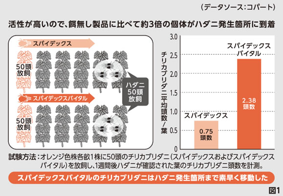新規天敵殺虫剤 「スパイデックス バイタル」