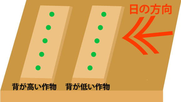 日の当たり方から作物を考える
