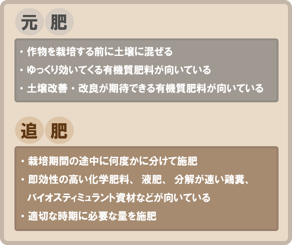 元肥と追肥って何？