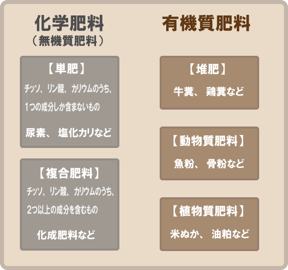 化学肥料（無機質肥料と有機質肥料