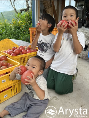 じぃ、ばぁ、おいしいトマトをありがとう!