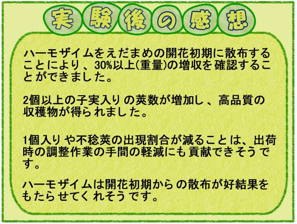 ハーモザイム　実験後の感想　えだまめ