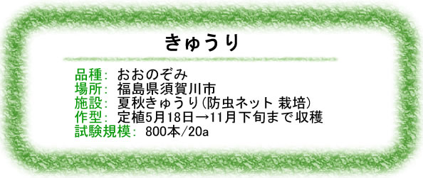 ハーモザイム　きゅうり（品種：おおのぞみ）　福島県須賀川市