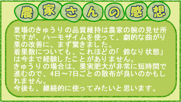 夏場のきゅうりの品質維持は農家の腕の見せ所ですが、ハーモザイムを使って、劇的な曲がり果の改善に、まず驚きました。 着果数についても、これほどの「鈴なり状態」は今まで経験したことがありません。 きゅうりの場合は、果実肥大が非常に短時間で進むので、4日～7日ごとの散布が良いのかもしれません。 今後も、継続的に使ってみたいと思います。