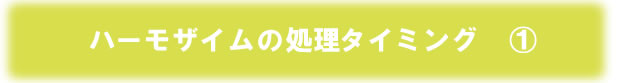 加工用レタス　ハーモザイム農家レポート