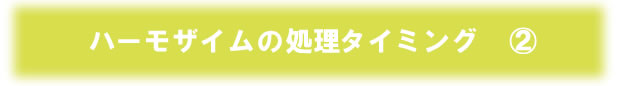 加工用レタス　ハーモザイム農家レポート