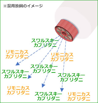 アリスタが推奨する『混用放飼』のメリット 