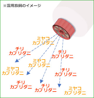 アリスタが推奨する『混用放飼』のメリット